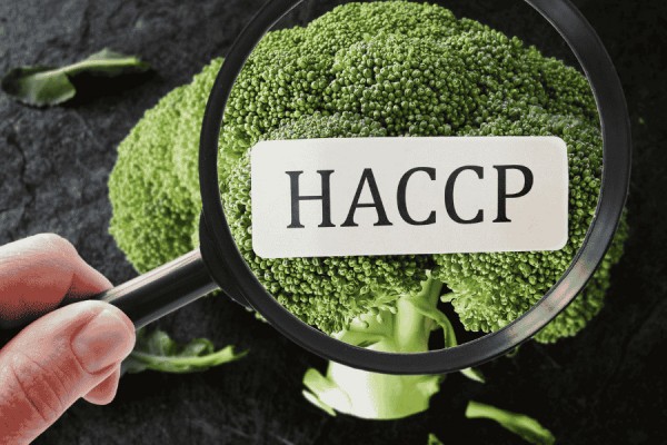 HACCP 1 – Góðir starfshættir við meðferð matvæla